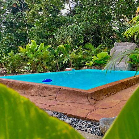 Iki Volcan Arenal With Jacuzzy La Fortuna Екстер'єр фото